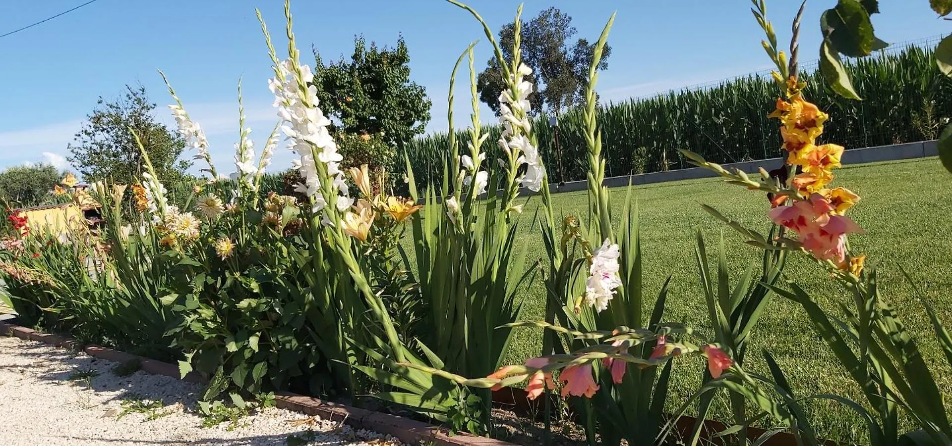 Bed and Breakfast Cascina Olmetto Di Sotto Ghedi